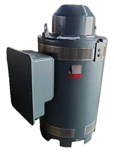 محرك عمود الإدارة المجوف العمودي VHS5008TP-4 (بقوة 500 حصان، محرك حثي ثلاثي الطور)